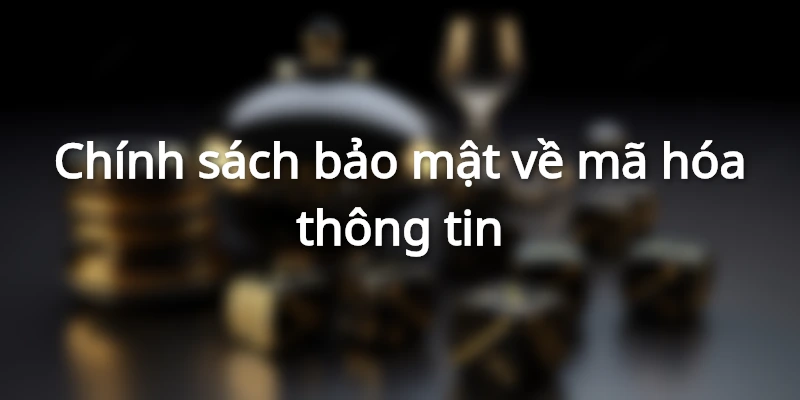 Dữ liệu của người dùng sẽ được bảo vệ an toàn tuyệt đối