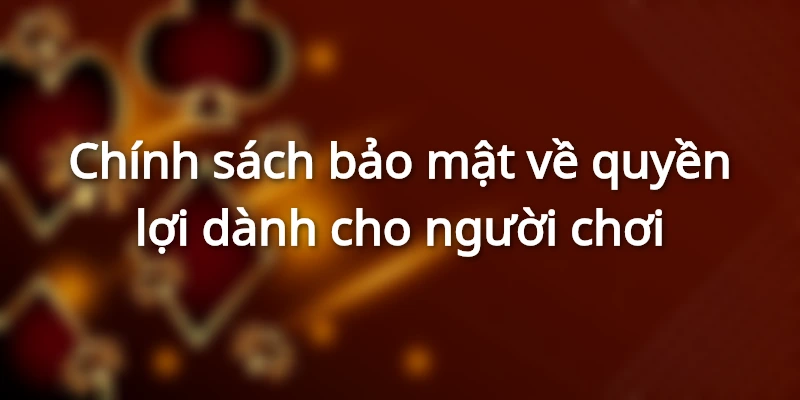 Nhà cái và thành viên đều có quyền lợi như nhau