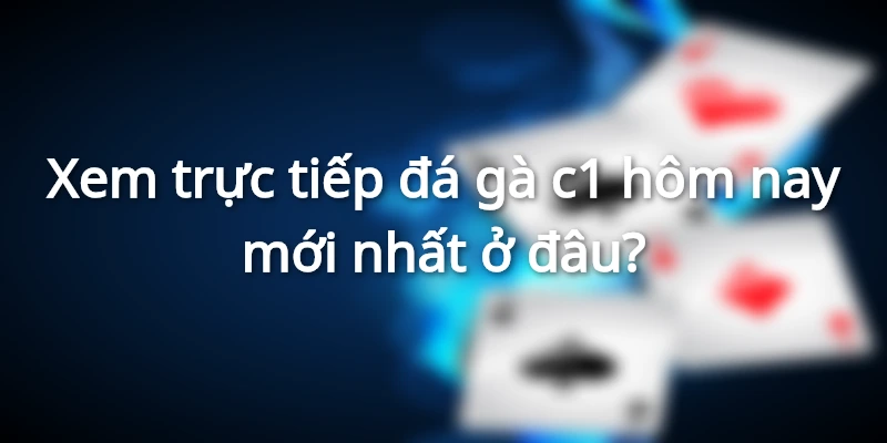 Xem trực tiếp đá gà c1 hôm nay mới nhất HI88