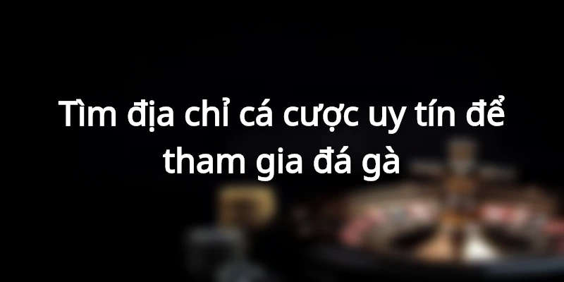 Kinh nghiệm tham gia đá gà luôn thắng