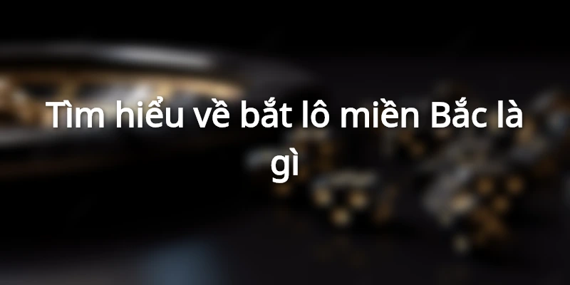bat-lo-mien-bac-la-gi