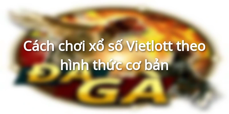 cach-choi-xo-so-vietlott-power-655