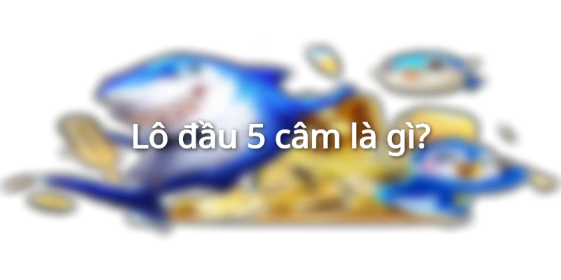 dau-5-cam-danh-con-gi-chuan-nhat