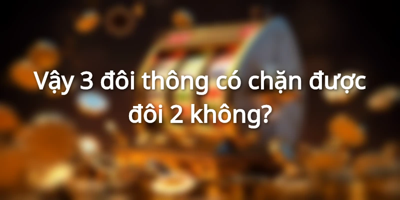 3-doi-thong-co-chat-duoc-tu-quy