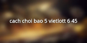 cach-choi-bao-5-vietlott-6-45