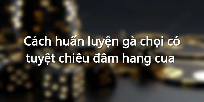 cach-huan-luyen-ga-choi-da-hang-cua