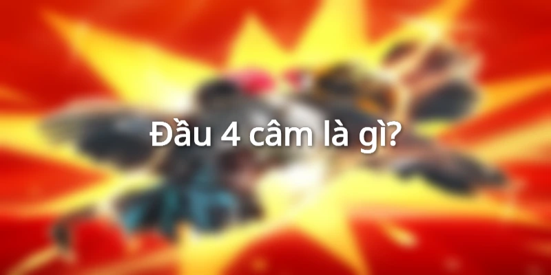 cam-dau-4-hom-sau-danh-con-gi