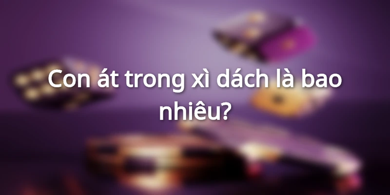 con-at-trong-xi-dach-la-bao-nhieu