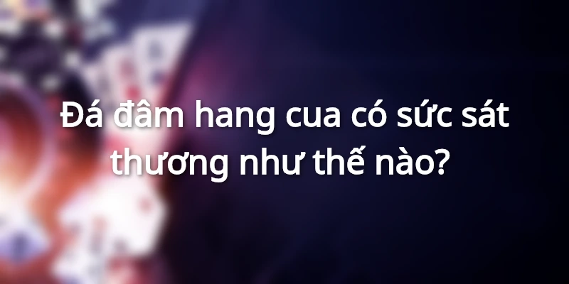 da-dam-hang-cua-la-gi