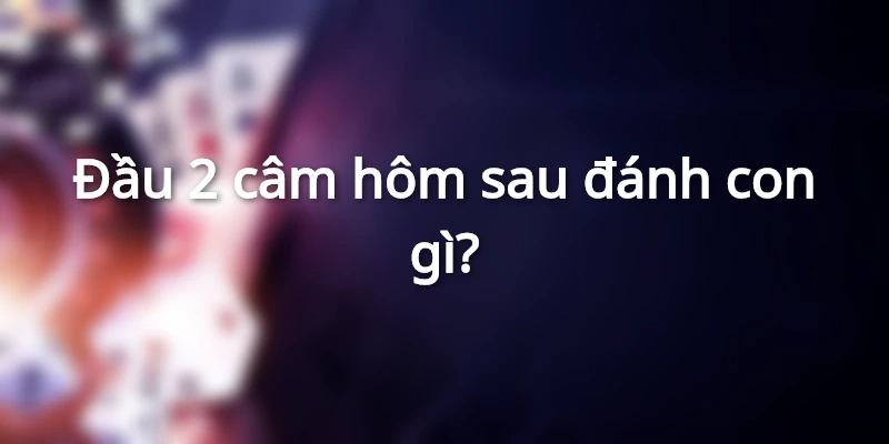 dau-2-cam-hom-sau-danh-lo