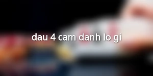 dau-4-cam-danh-lo-gi