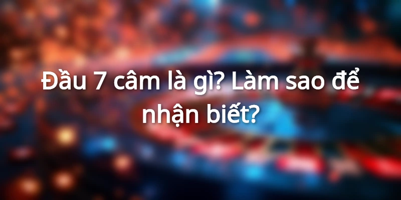 dau-7-cam-la-gi