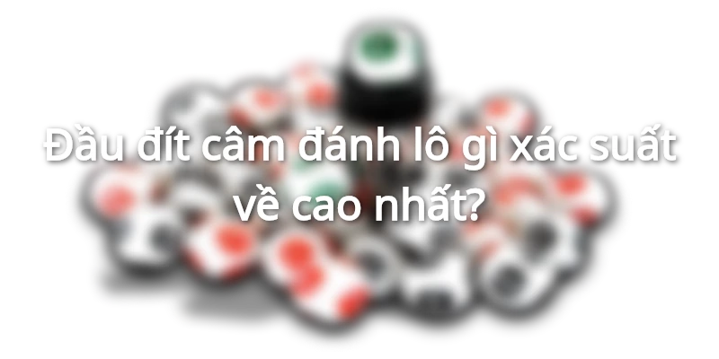 dau-cam-dit-cam-danh-con-gi-chuan