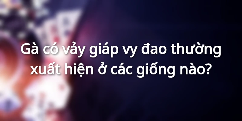 ga-chua-vay-vy-dao