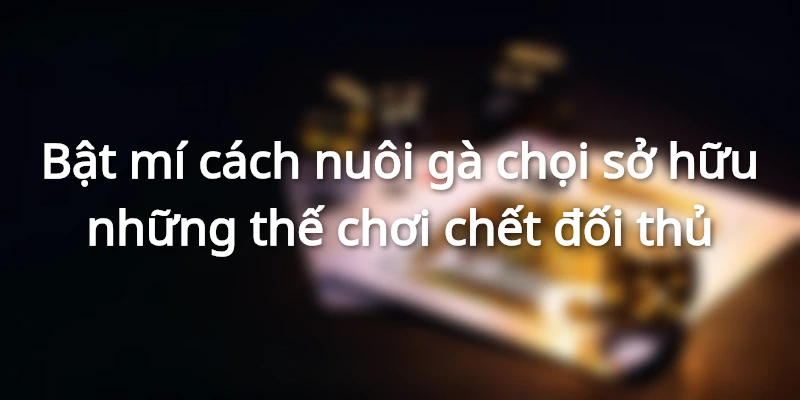 huyen-luyen-chien-ke-co-nhieu-don-doc-don-cao