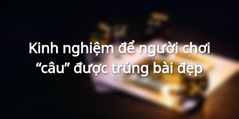 kinh-nghiem-cau-ngu-linh