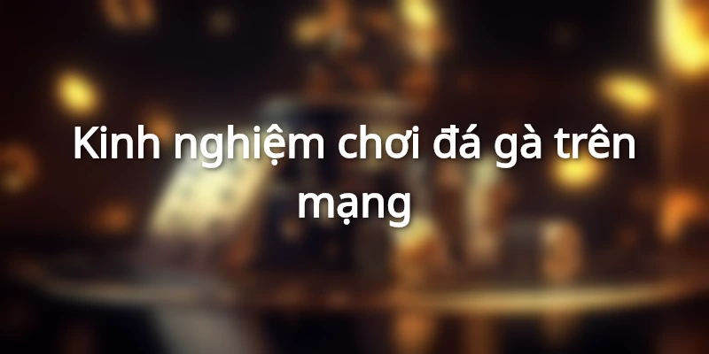 kinh-nghiem-choi-da-ga-tren-mang