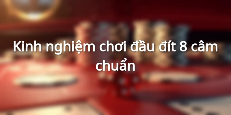 kinh-nghiem-danh-8-cam-dau-duoi