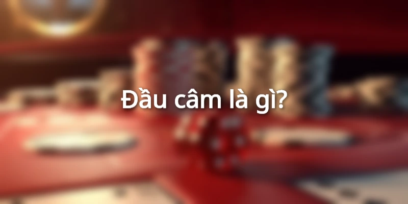lo-dau-cam-la-gi