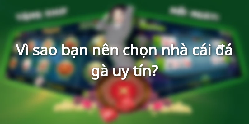 nha-cai-da-ga-hi88
