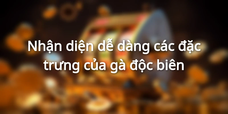 vay-ga-doc-bien-dac-diem