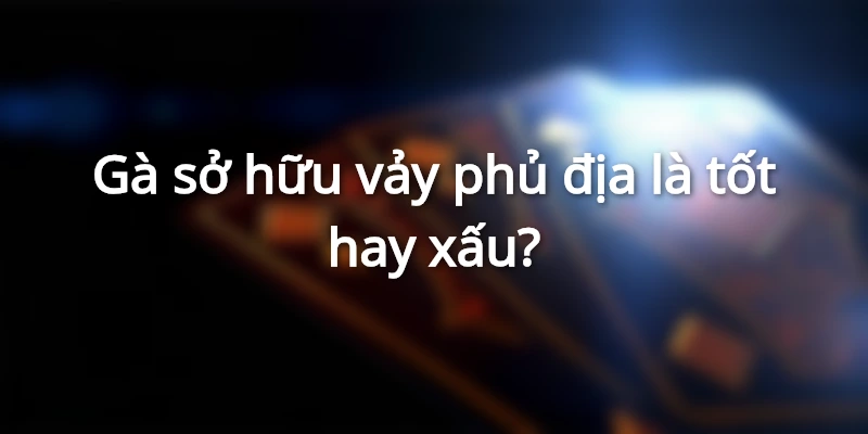 vay-ga-tu-quy-phu-dia-la-gi