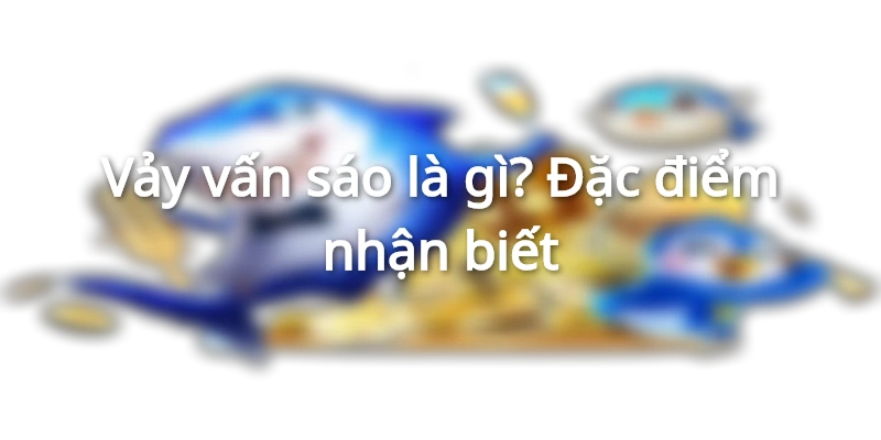 vay-van-sao-la-gi