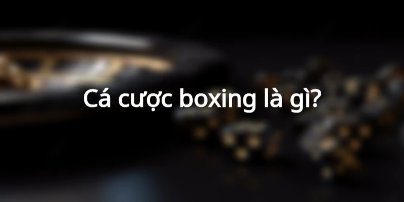 ca-cuoc-boxing-la-gi