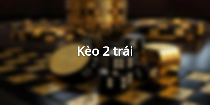 vi-du-cuoc-tai-xiu-2-trai